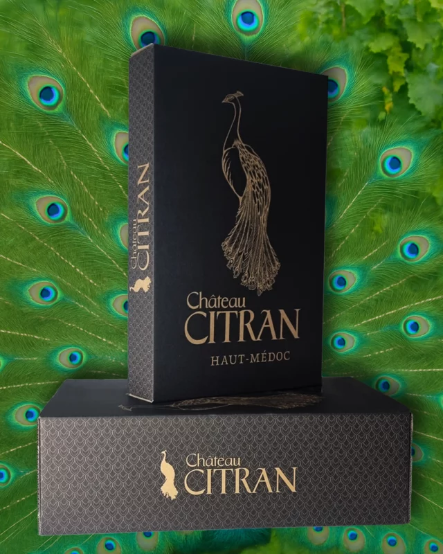 🍇🦚 Votre projet, votre univers 💙🍷